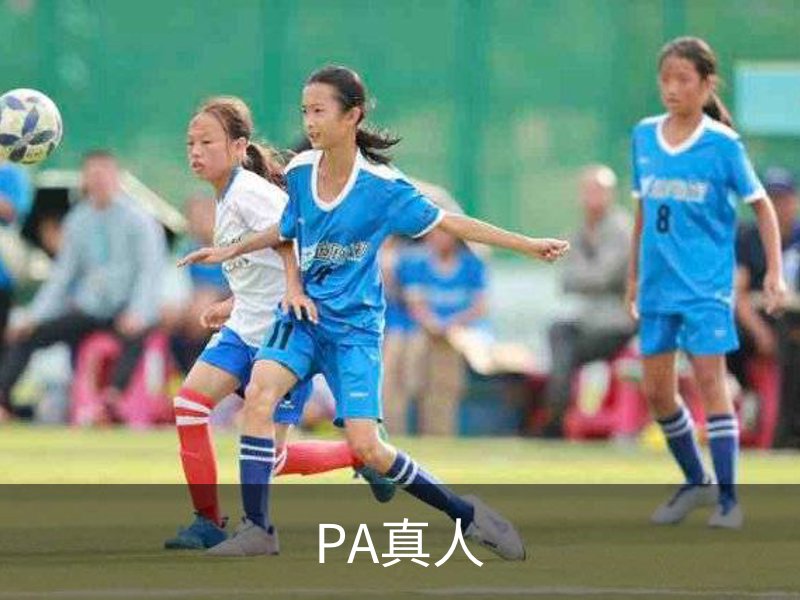 了解PA真人